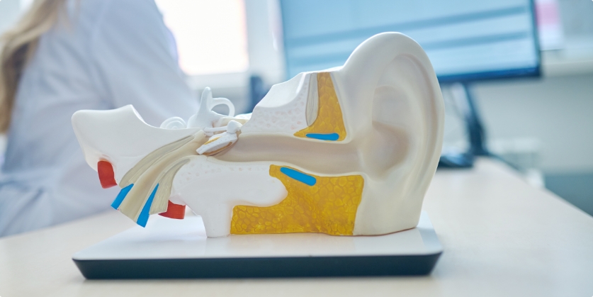 Quality Hearing & Audiology Center Blog